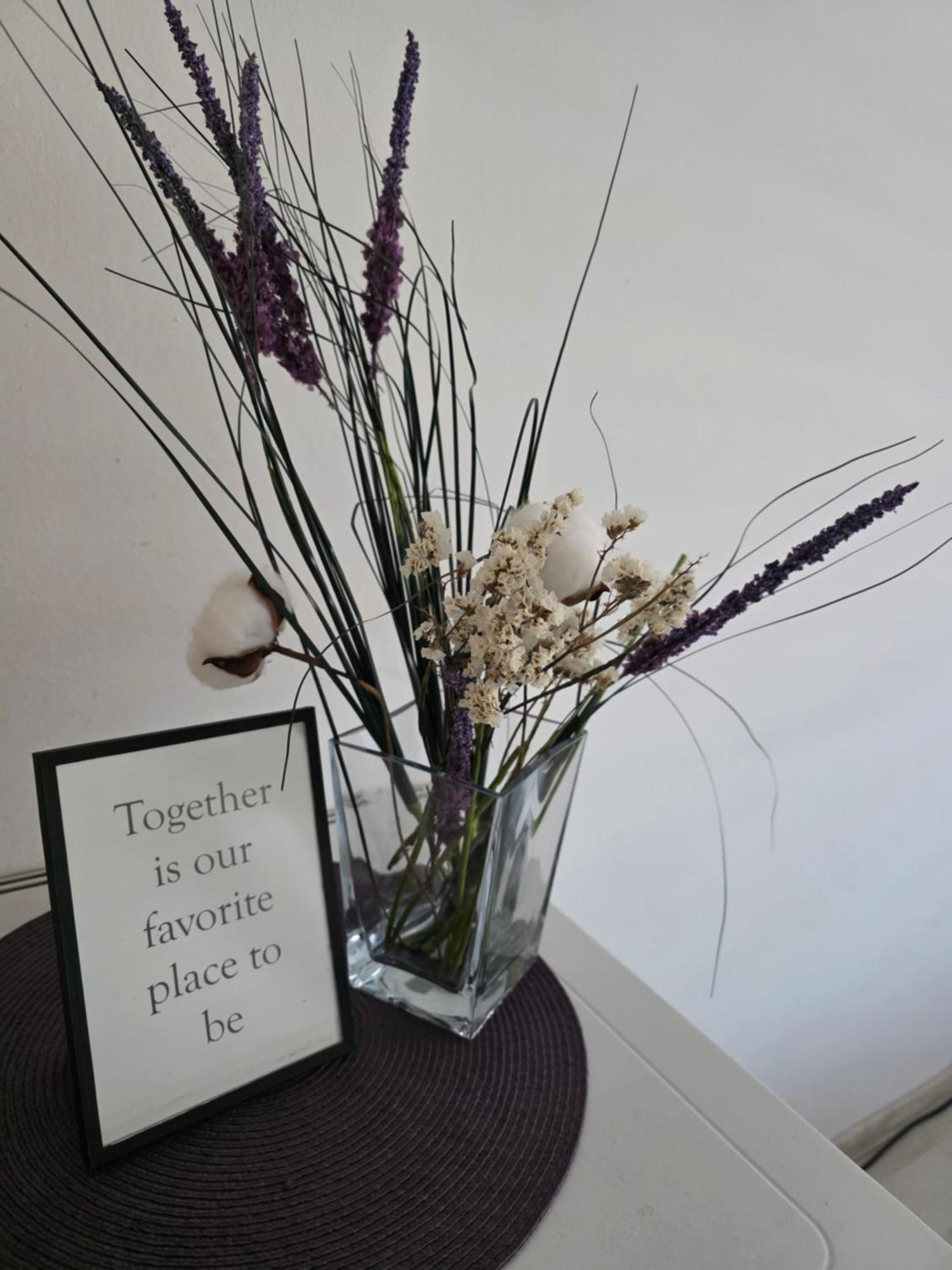 Purple Rooms موستار المظهر الخارجي الصورة
